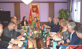 Medenica: Crnogorski sudovi u prethodnoj godini bili su efikasni, rezultati su mogli biti i bolji