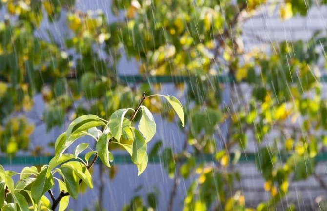 Prvog dana marta oblačno, kiša poslijepodne