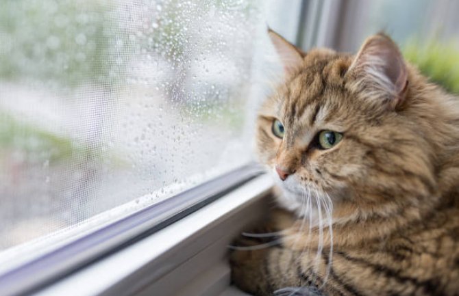 Oblačno, povremeno kiša i pljuskovi sa grmljavinom 