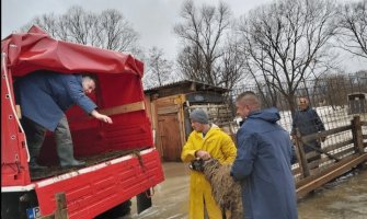 Izlila se Ćehotina, poplavljena imanja: U toku evakuacija stoke porodice Ajanović 