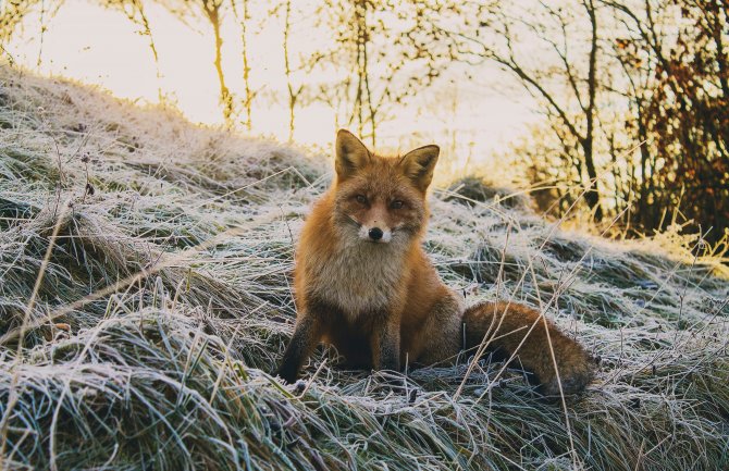 Danas djelimično sunčano, do 18 stepeni