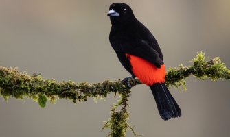 Sjutra pretežno sunčano, do 23 stepena