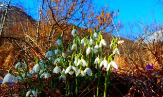 Danas sunčano, do 19 stepeni