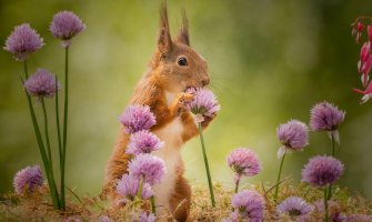 Danas sunčano, do 21 stepen