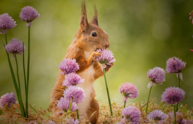Danas sunčano, do 21 stepen