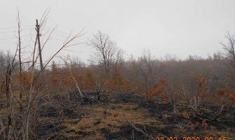 CEDIS: Paljenje livada ugrožava dalekovode i ljudske živote