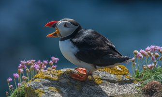 Za dane vikenda promjenljivo oblačno i toplije