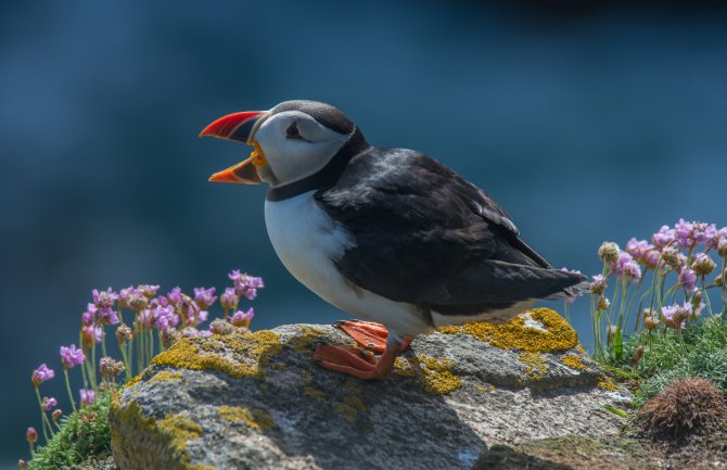 Za dane vikenda promjenljivo oblačno i toplije