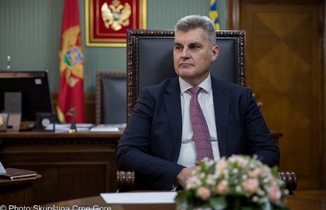 Brajović: Premijer da poštuje skupštinsku proceduru