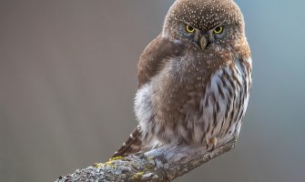 Danas pretežno sunčano i toplije