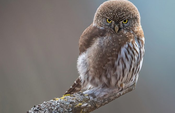 Danas pretežno sunčano i toplije