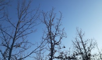 Suvo sa dužim sunčanim intervalima, do 17 stepeni