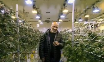 Tajson od uzgajanja marihuane mjesečno zaradi milion dolara