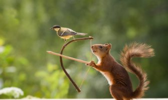 Danas sunčano, do 23 stepena