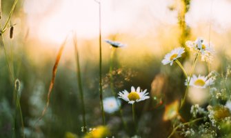 Oblačno sa sunčanim intervalima, krajem dana ponegdje kiša