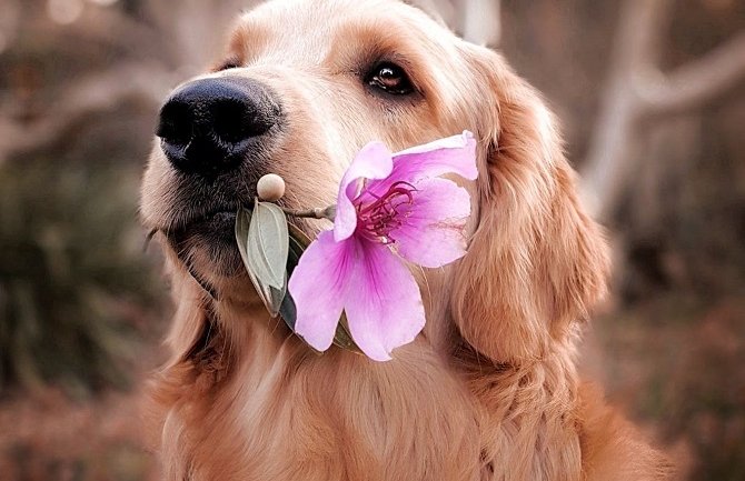 Za dane vikenda sunčano i toplo, do 26 stepeni