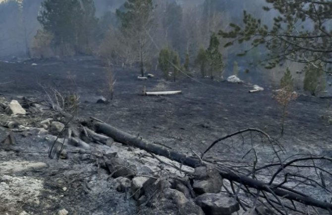  CEDIS: Građani da se suzdrže od paljenja vatre na otvorenom, u opasnosti mreža i uredno snabdijevanje strujom