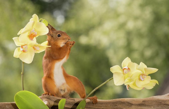 Pretežno sunčano, do 26 stepeni