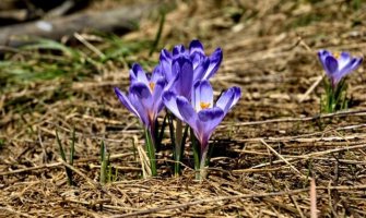 Evo kakvo nas vrijeme očekuje danas i sjutra