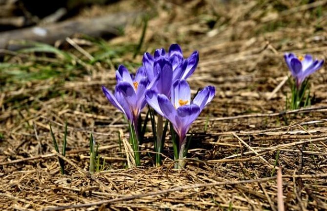 Evo kakvo nas vrijeme očekuje danas i sjutra