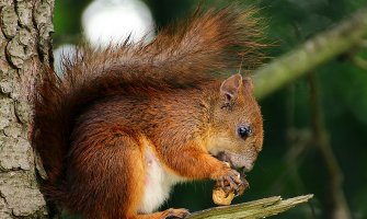 Pretežno sunčano, do 26 stepeni