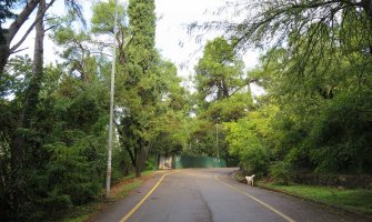 Uhapšeno pet osoba: Boravili u park šumi Gorica 