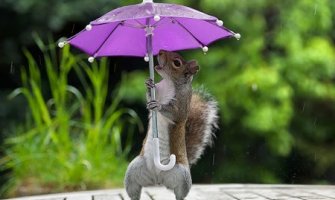 Kišovito, krajem dana na sjeveru moguć snijeg