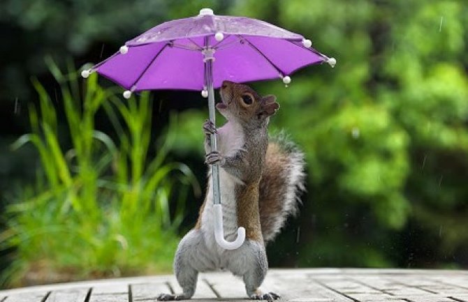 Kišovito, krajem dana na sjeveru moguć snijeg