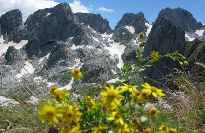 Nacionalni parkovi otvoreni za posjetioce, za sada dostupni lokalnom stanovništvu
