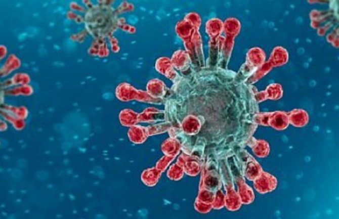 Francuska: Broj preminulih porastao na 28.132