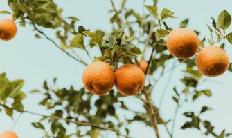 Pretežno sunčano, krajem dana kiša i pljuskovi sa grmljavinom