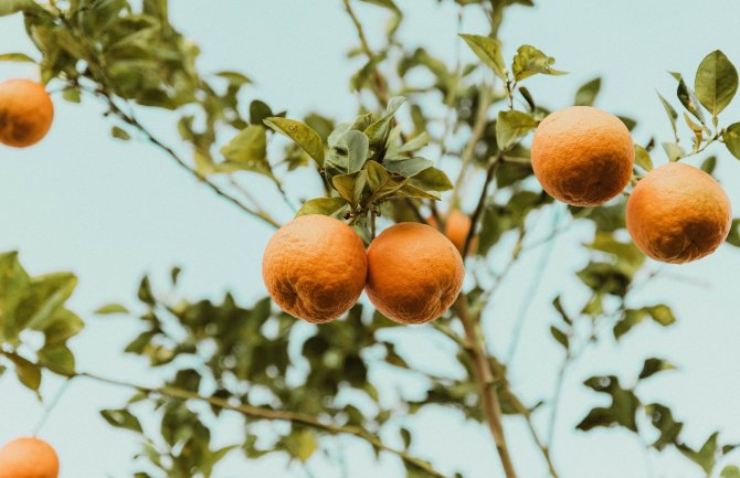 Pretežno sunčano, krajem dana kiša i pljuskovi sa grmljavinom