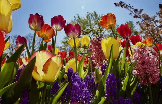 U Crnoj Gori danas sunčano i toplo, do 30 stepeni