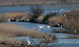 Pumpa Đerane počela sa distribucijom svježe morske vode u solanske bazene