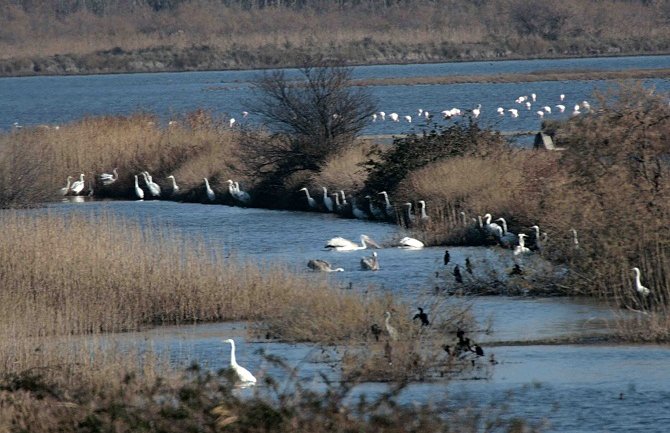 Pumpa Đerane počela sa distribucijom svježe morske vode u solanske bazene