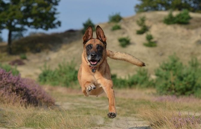 Za dane vikenda veoma toplo, do 32 stepena