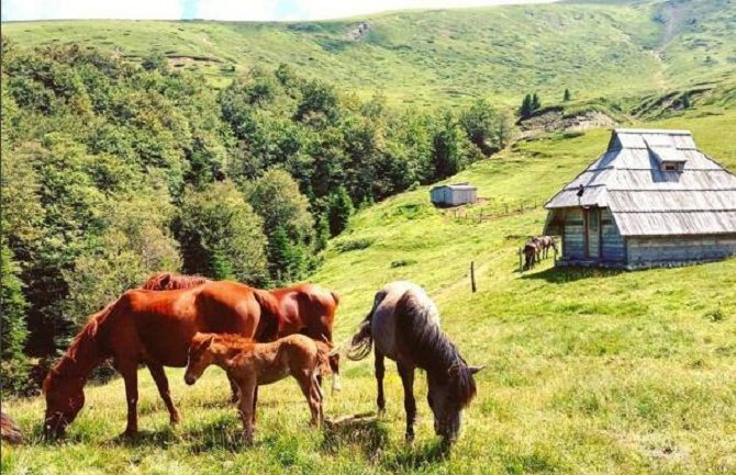 Uz razvoj ruralnog turizma da zaživi sjever