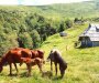 Uz razvoj ruralnog turizma da zaživi sjever