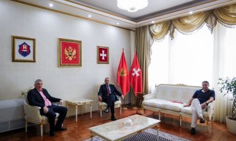 CEDIS ulaže 2,3 miliona u sistem za distribuciju električne energije na Cetinju