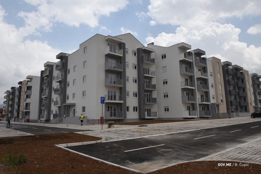 499160439471df1a35e44o