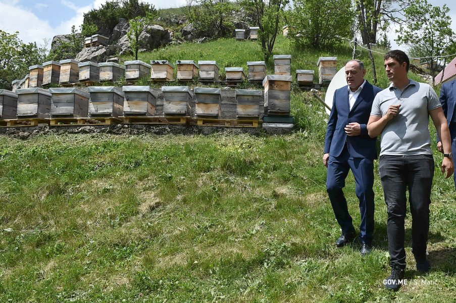 49915782243205d09b30co