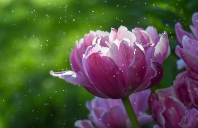 Promjenljivo oblačno, kiša u drugom dijelu dana