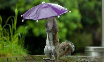 Oblačno, mjestimično kiša ili pljusak praćen grmljavinom