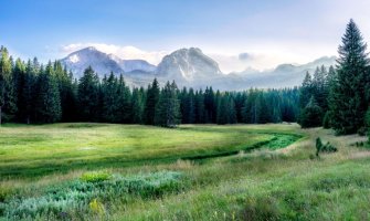 Počelo obilježavanje stabala na trasi dalekovoda u NP Durmitor