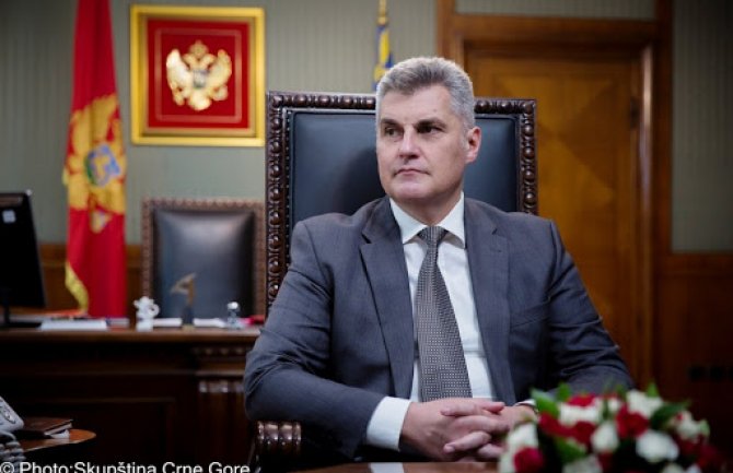 Brajović: Nema tog zakona koji bi opoziciji donio pobjedu