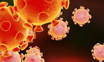 Nema novih slučajeva koronavirusa u CG