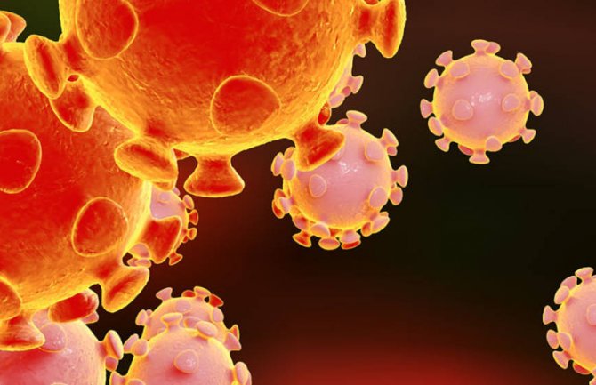 Nema novih slučajeva koronavirusa u CG