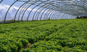 Smanjiti uvoz robe koja se proizvodi u Crnoj Gori