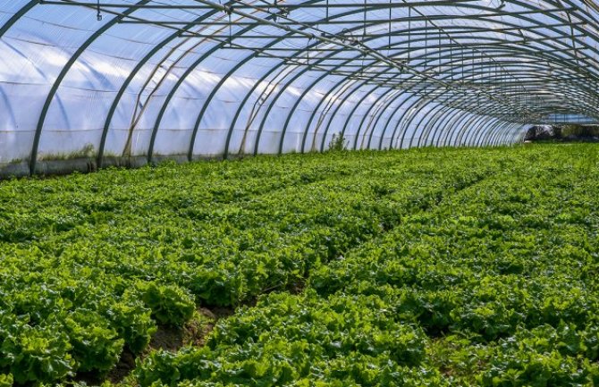 Smanjiti uvoz robe koja se proizvodi u Crnoj Gori