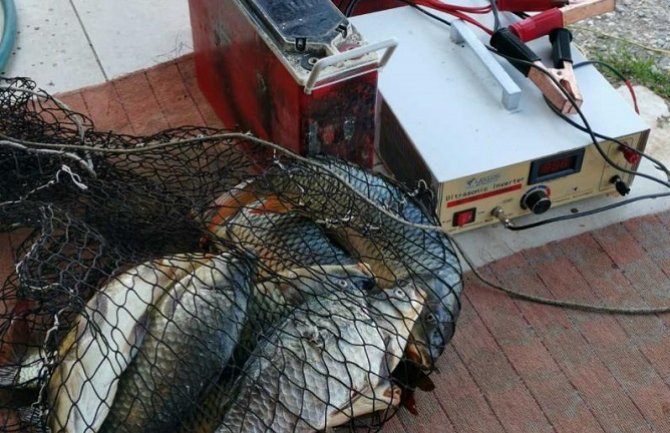 Skadarsko jezero: Jutros spriječen izlov ribe strujom